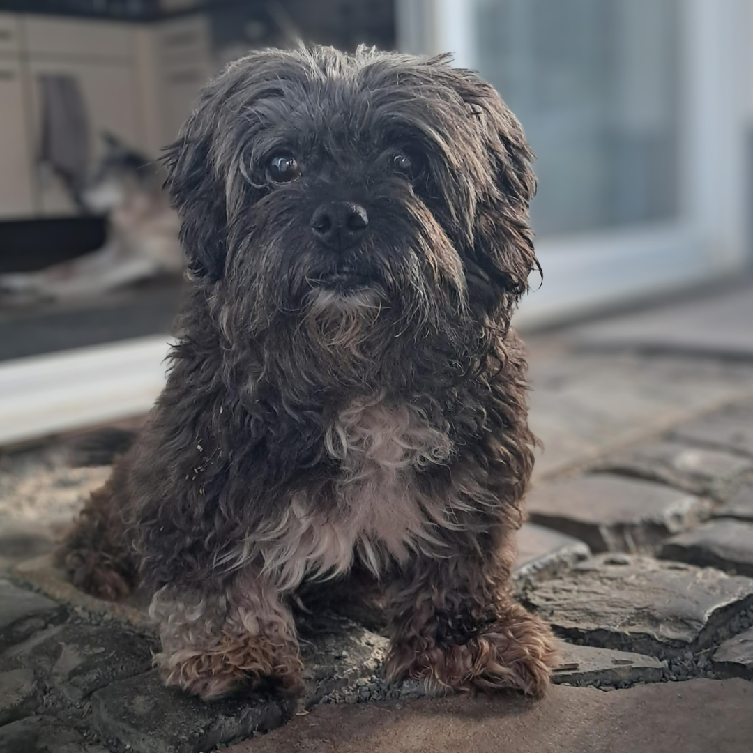 Max