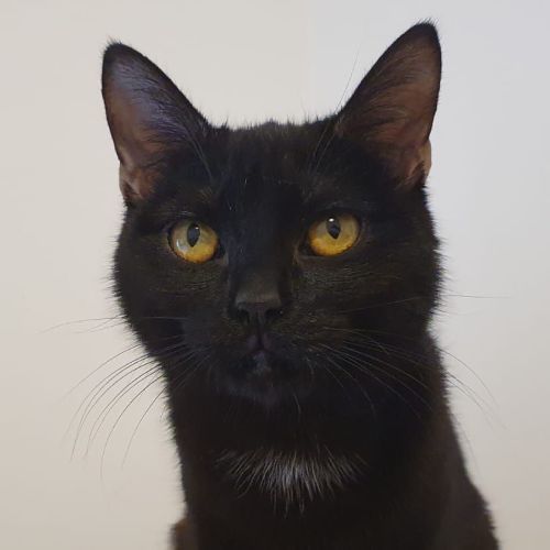 Tina